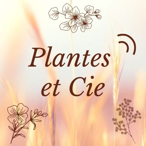 Plantes et Cie