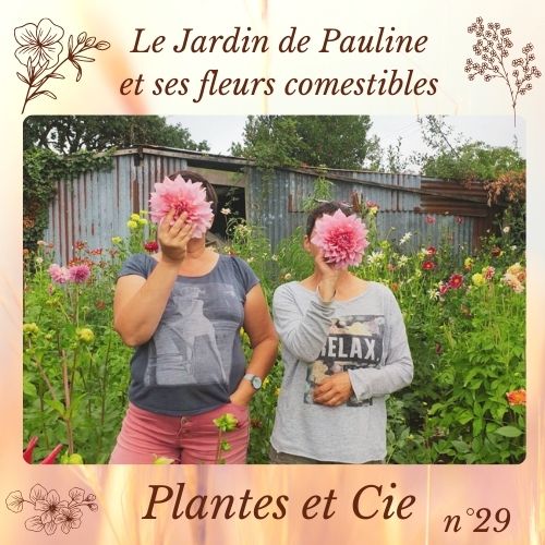 Plantes et Cie n°29: Le Jardin de Pauline et ses fleurs comestibles
