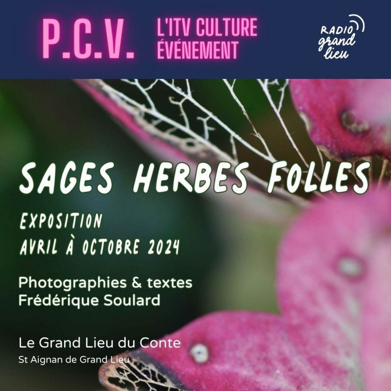 P.C.V. expo « Sages Herbes Folles » – Frédérique Soulard