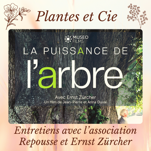 Plantes et Cie – n° Spécial : La puissance de l’arbre